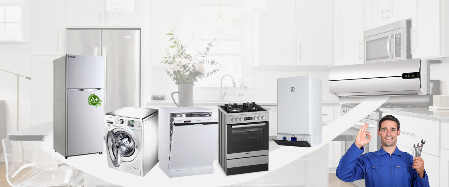 Delice Smeg Servisi